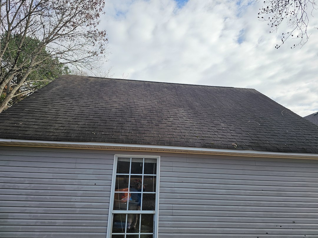 Algae & Moss Covered Roof Cleaning in Loretto, TN