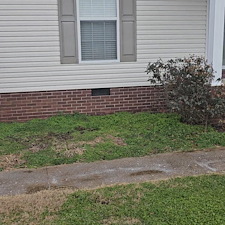 Algea-Covered-Patio-and-Sidewalk-Cleaning-in-Lawrenceburg-TN 0