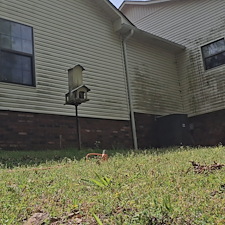 Professional-Softwash-Gutter-Brightening-and-Concrete-Cleaning-in-Loretto-TN 6