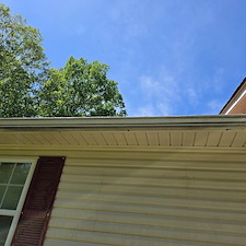 Professional-Softwash-Gutter-Brightening-and-Concrete-Cleaning-in-Loretto-TN 4