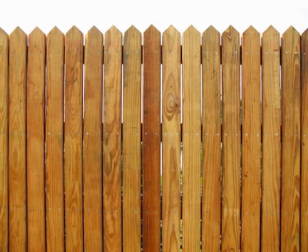 Fence Cleaning
