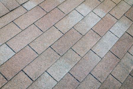 Roof Cleaning